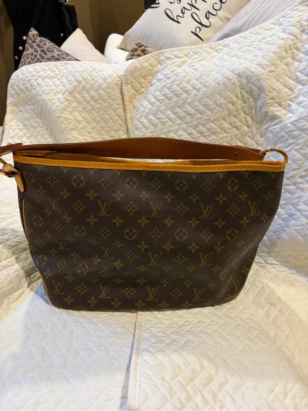 Louis Vuitton Monogram PM Delightful Shoulder Bag